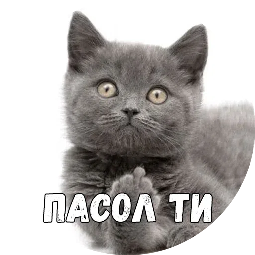 Байной? - Sticker 26