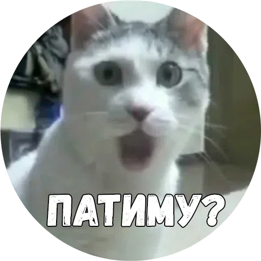 Байной? - Sticker 21