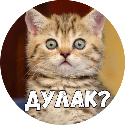 Байной? - Sticker 24