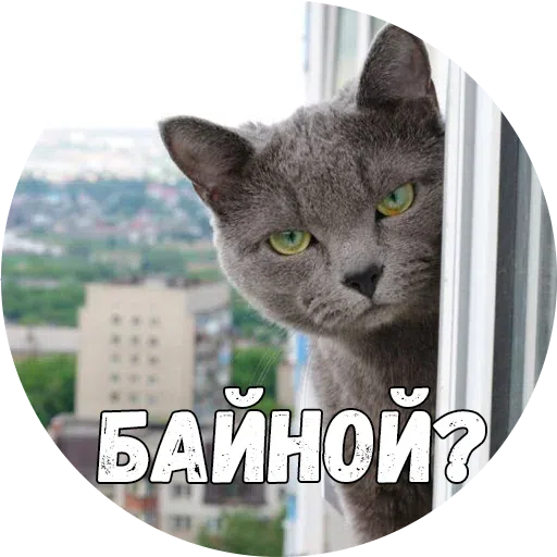 Байной? - Sticker 16