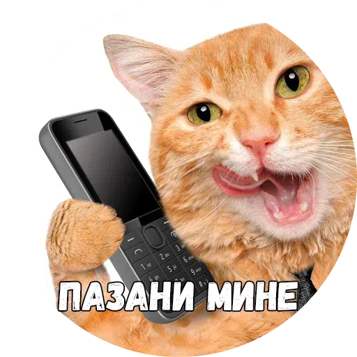 Байной? - Sticker 10