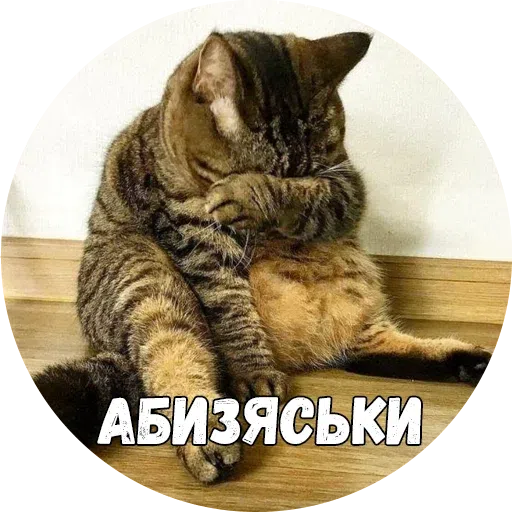 Байной? - Sticker 27