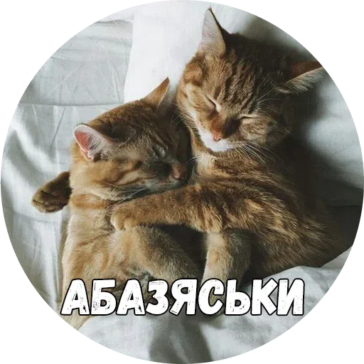 Байной? - Sticker 20