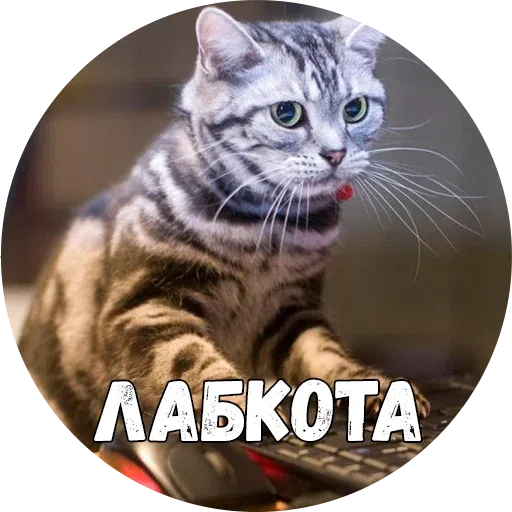 Байной? - Sticker 9