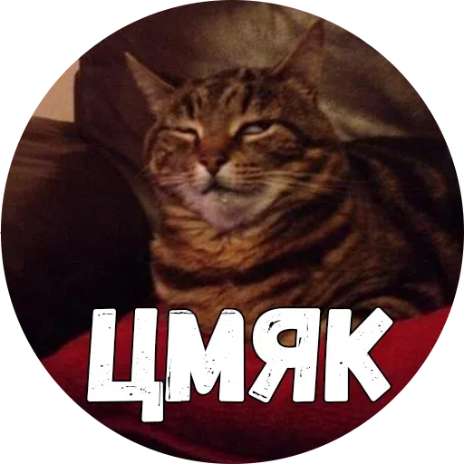 Байной? - Sticker 11