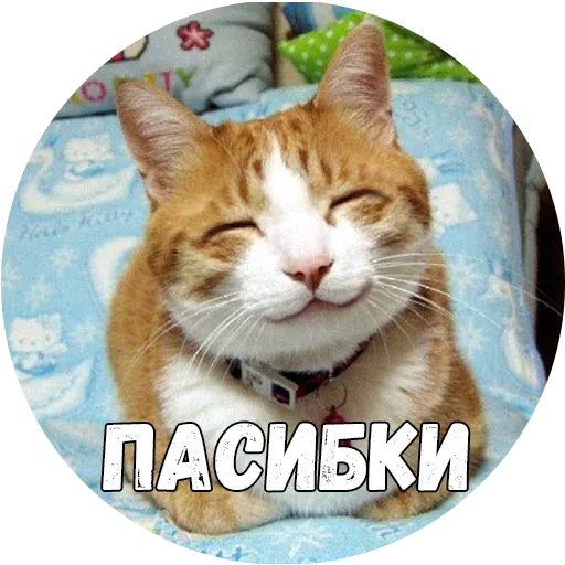 Байной? - Sticker 23