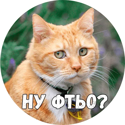 Байной? - Sticker 14