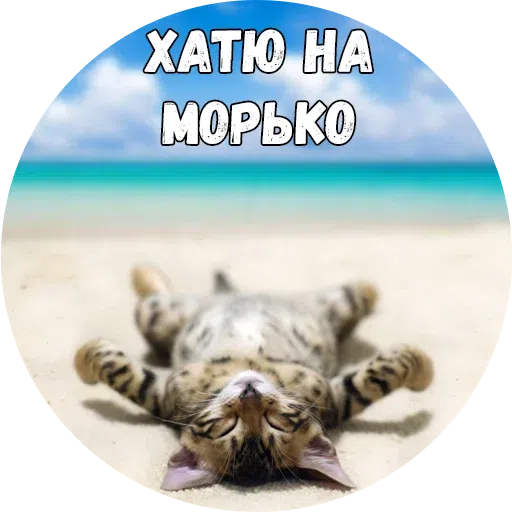 Байной? - Sticker 17