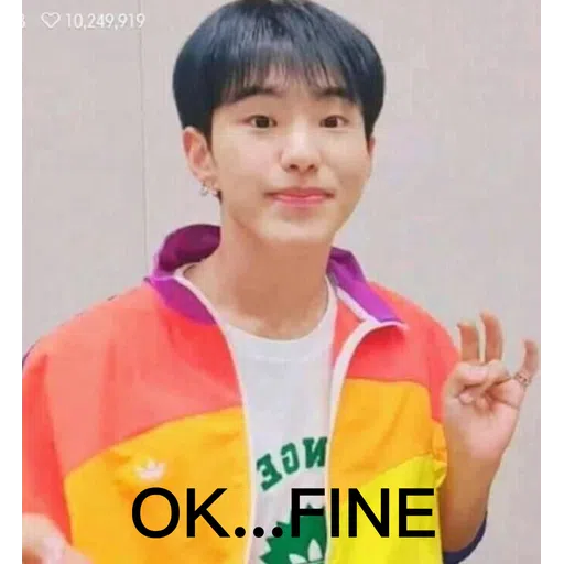 Seventeen haha - Sticker 11