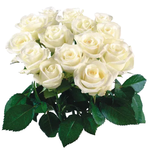 White Flowers @ykinanah - Sticker 24