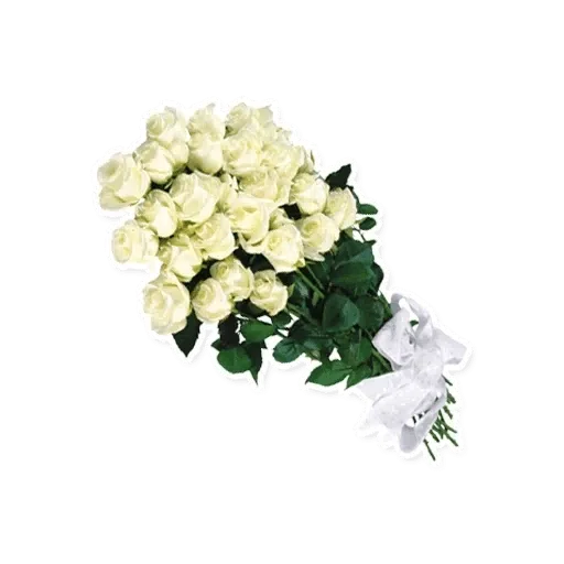 White Flowers @ykinanah - Sticker 11