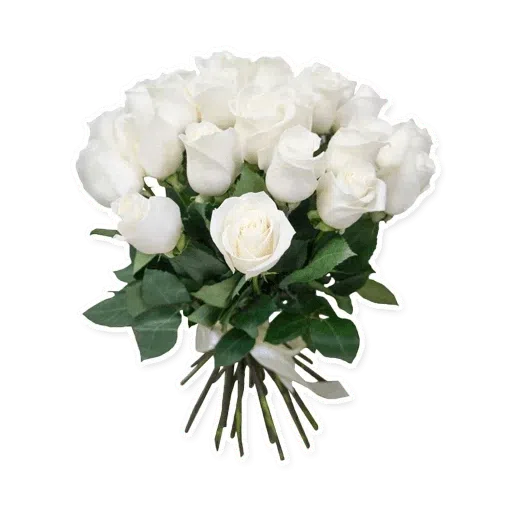 White Flowers @ykinanah - Sticker 18