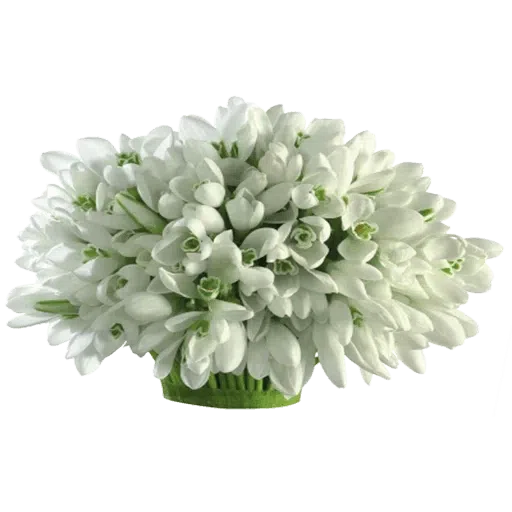 White Flowers @ykinanah - Sticker 14