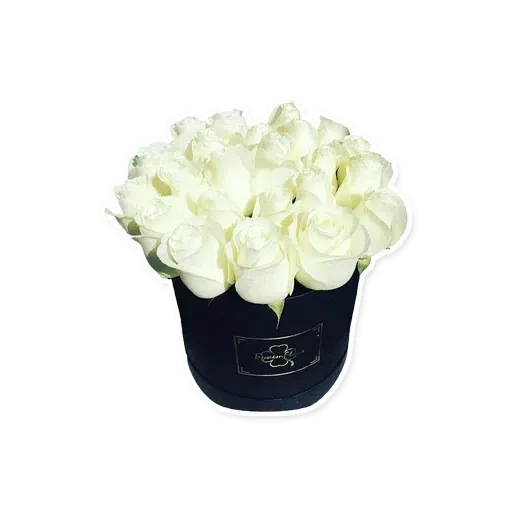 White Flowers @ykinanah - Sticker 9