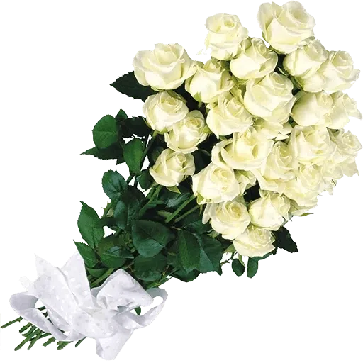 White Flowers @ykinanah - Sticker 28