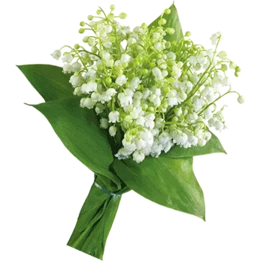White Flowers @ykinanah - Sticker 21