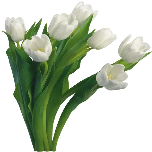 White Flowers @ykinanah - Sticker 12