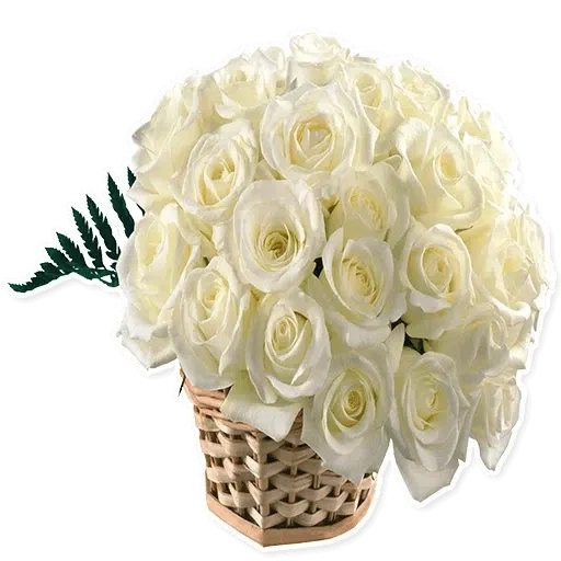 White Flowers @ykinanah - Sticker 25