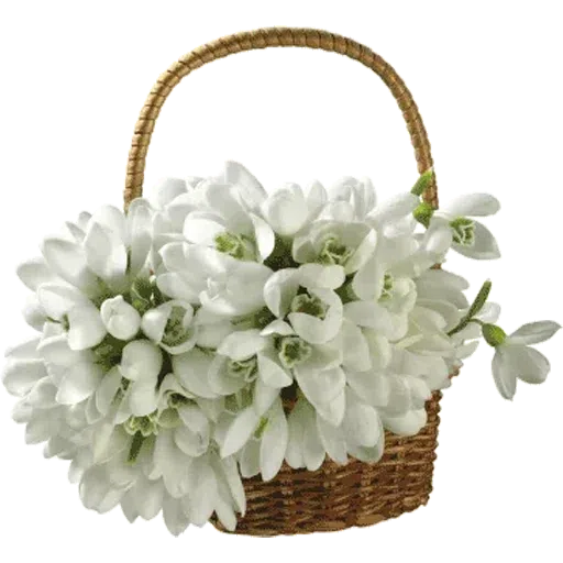 White Flowers @ykinanah - Sticker 22