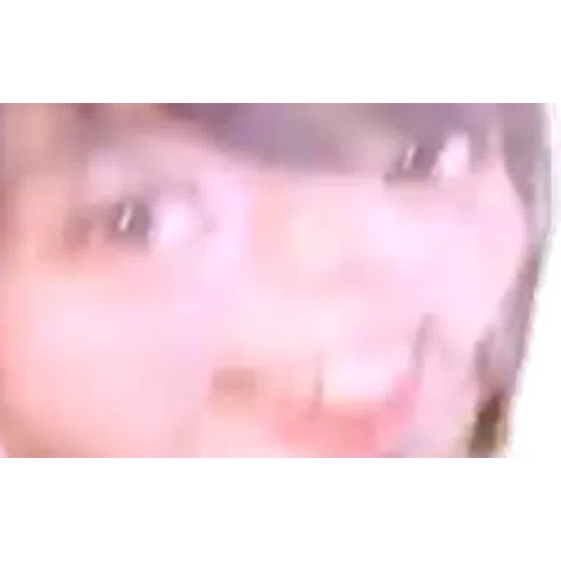 Bushimo - Sticker 14