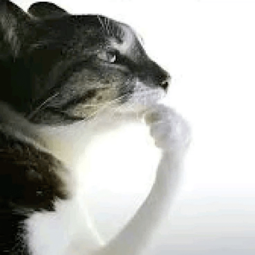 TikTok Stickers 3 - Sticker 16