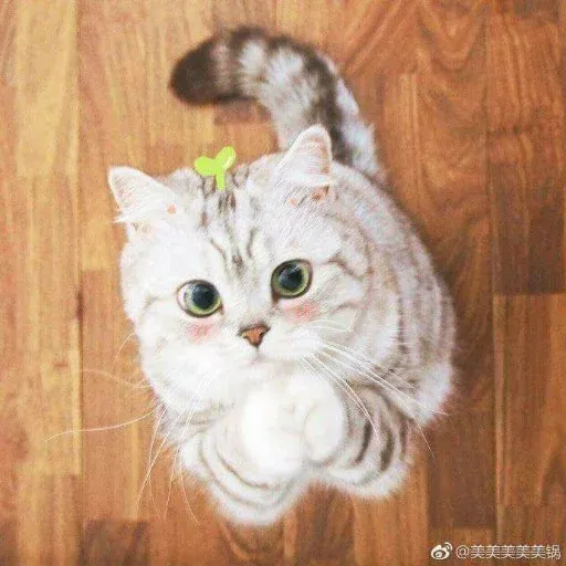 🐱 - Sticker 19