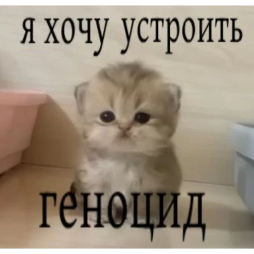 Mood - Sticker 9