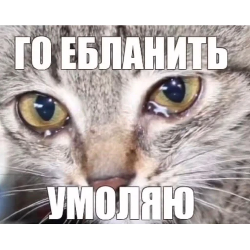 Mood - Sticker 14