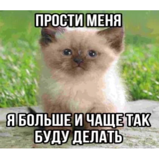 Mood - Sticker 10
