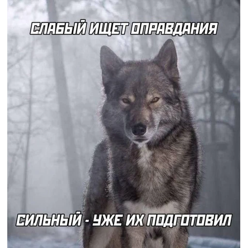 Mood - Sticker 13
