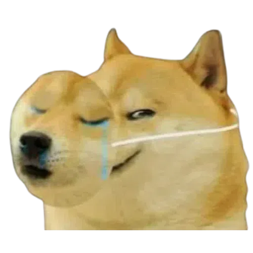 N4yeem2 - Sticker 15