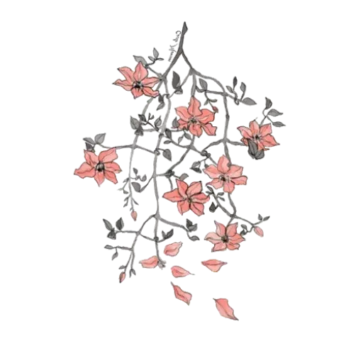 Hous_plant2 - Sticker 23