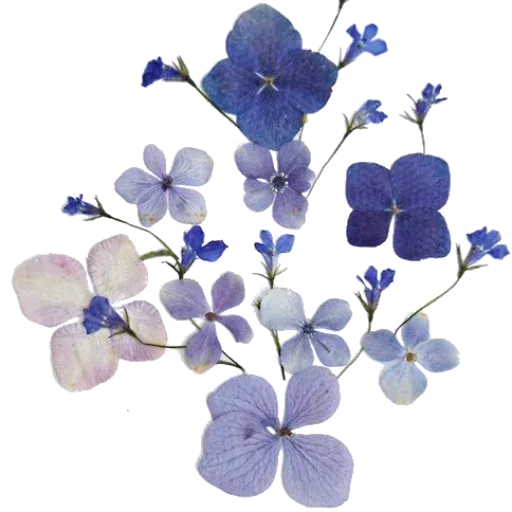 Hous_plant2 - Sticker 27