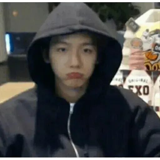 EXO MEME 3 - Sticker 14