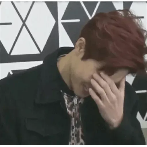 EXO MEME 3 - Sticker 19