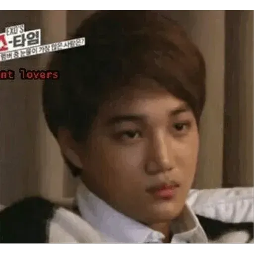 EXO MEME 3 - Sticker 24
