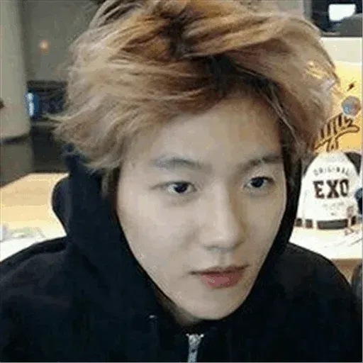 EXO MEME 3 - Sticker 23