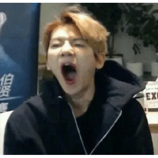 EXO MEME 3 - Sticker 10