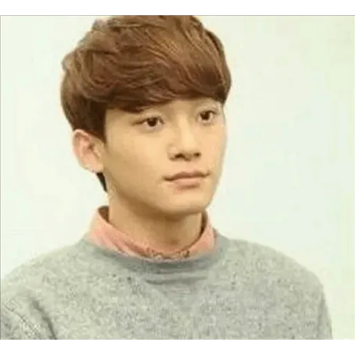 EXO MEME 3 - Sticker 28