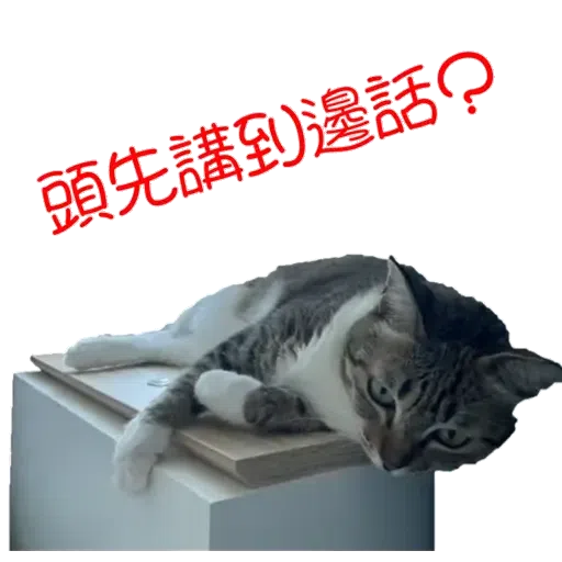 BuBu愛美麗 - Sticker 10