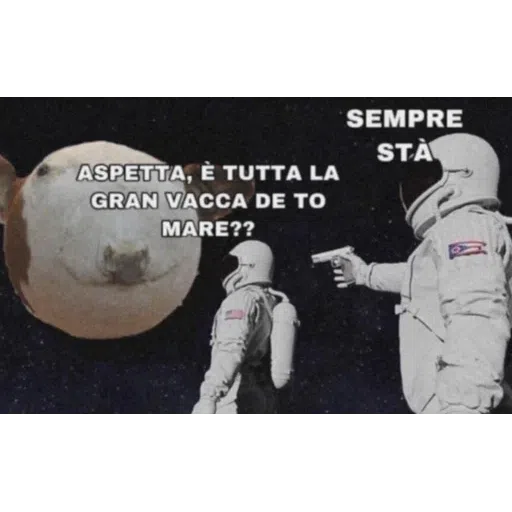 Sbuci - Sticker 19