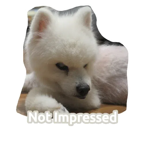 egan  - Sticker 14