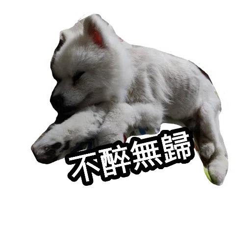 egan  - Sticker 19