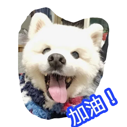 egan  - Sticker 15