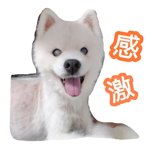 egan  - Sticker 16