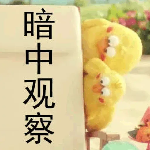 鸚鵡兄弟 - Sticker 9