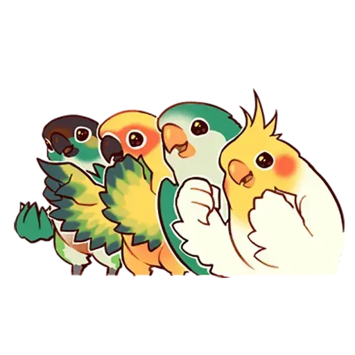 cockatiel WhatsApp Stickers - Stickers Cloud