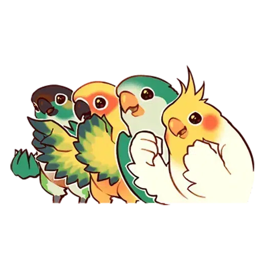 cockatiel - Sticker 20