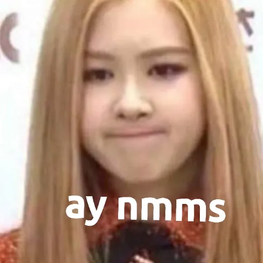 BLACKPINK MEMES - Sticker 14