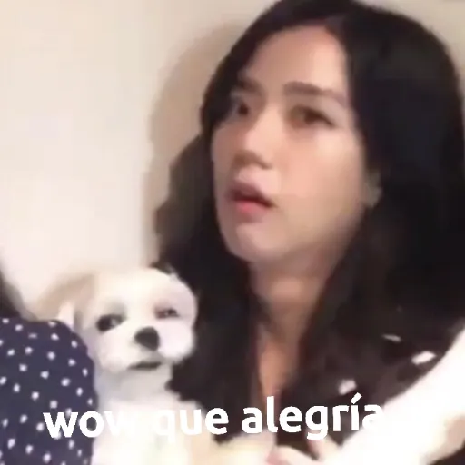 BLACKPINK MEMES - Sticker 15